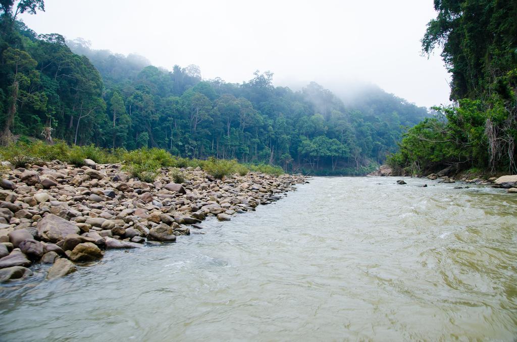 Готель Mutiara Taman Negara Куала-Таган Екстер'єр фото