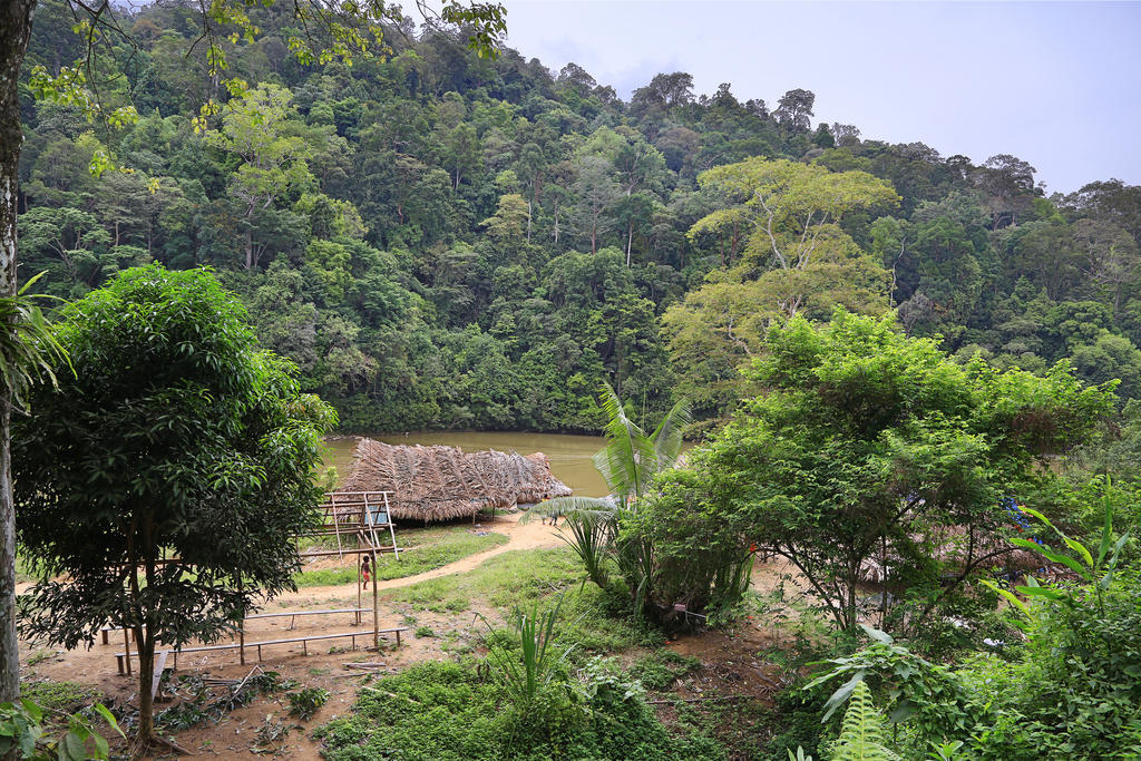 Готель Mutiara Taman Negara Куала-Таган Екстер'єр фото