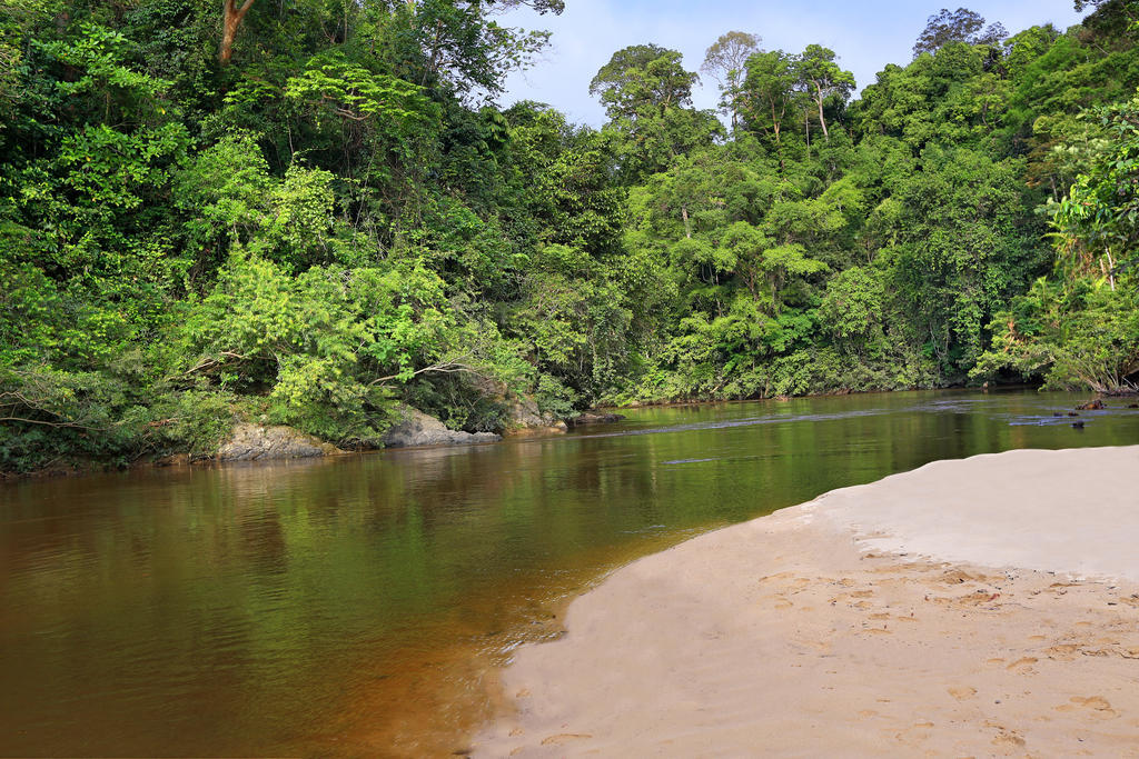 Готель Mutiara Taman Negara Куала-Таган Екстер'єр фото